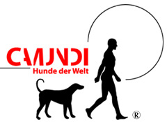 Camundi Logo